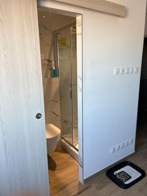 Apartamento Super Studio En Face De La Gare De Mulhouse Exterior foto