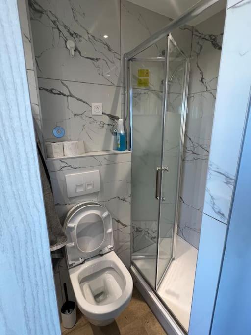 Apartamento Super Studio En Face De La Gare De Mulhouse Exterior foto